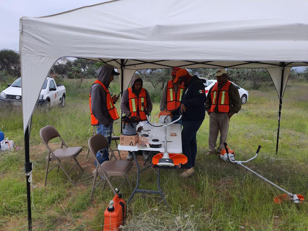 PRAMSEI - Proyectos: Programas de reforestación y reubicación