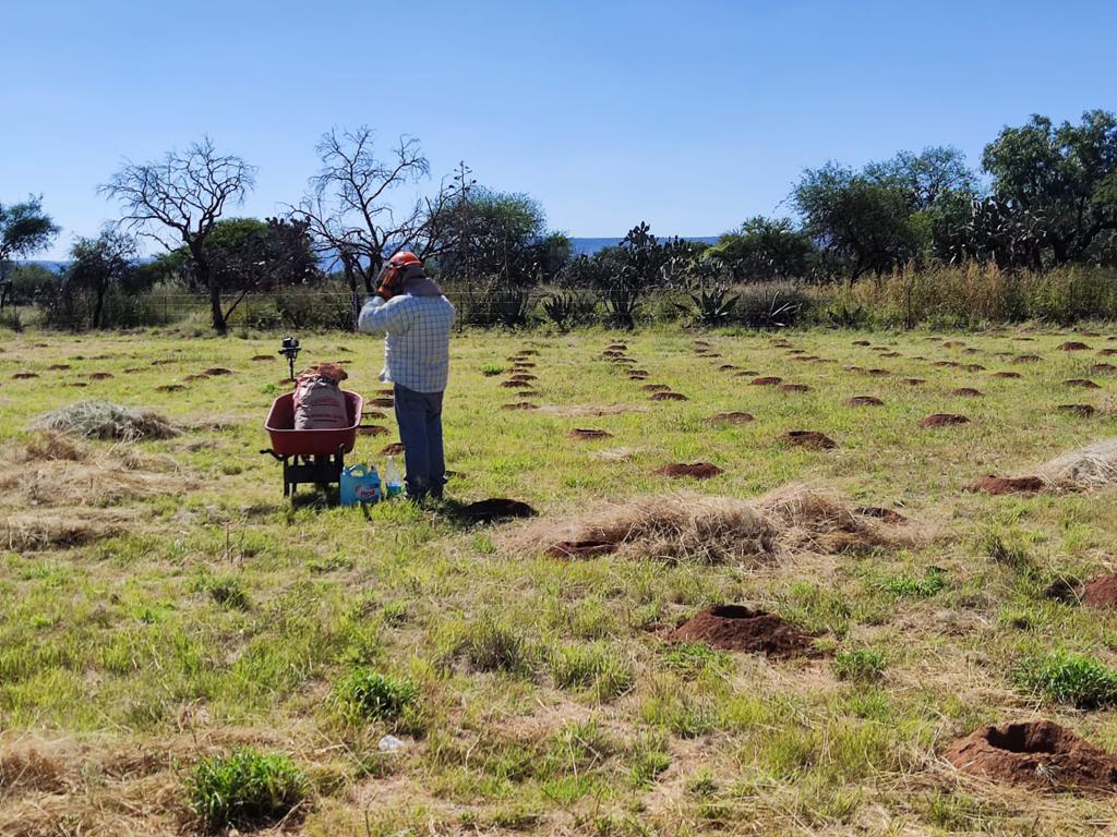 PRAMSEI - Proyectos: Programas de reforestación y reubicación
