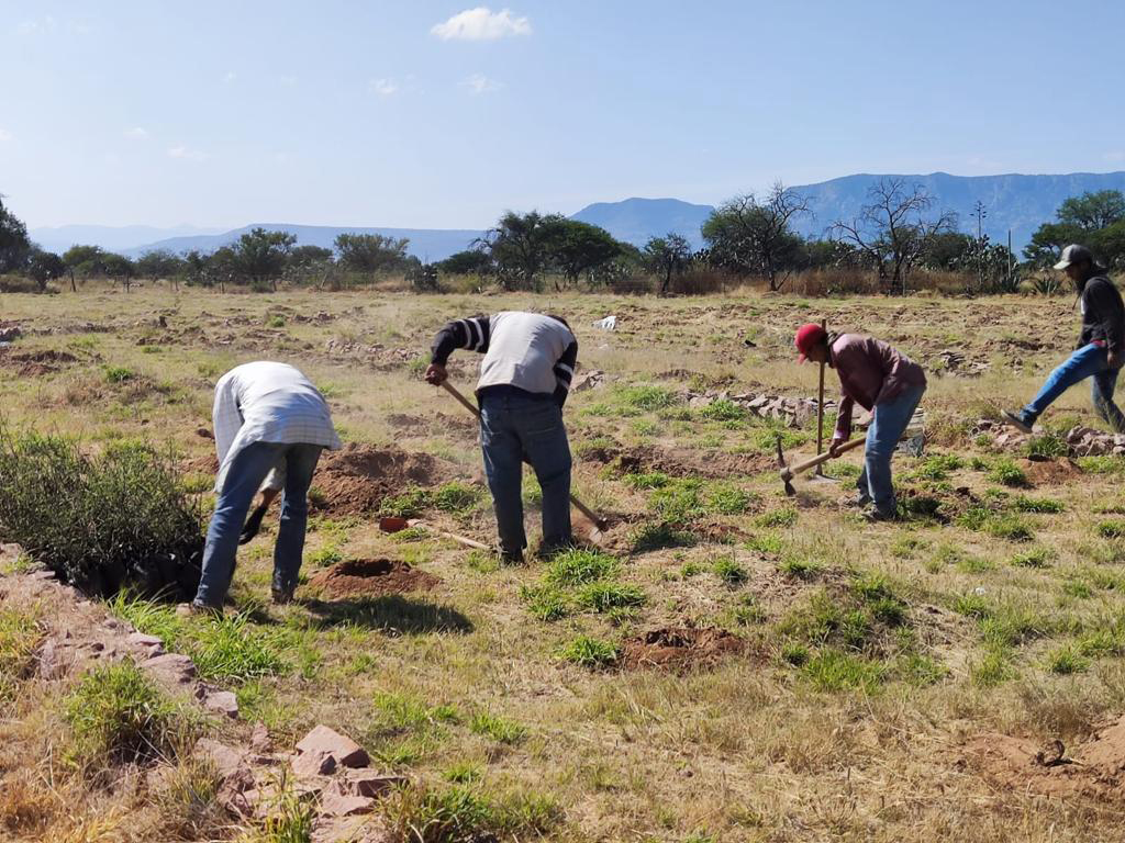 PRAMSEI - Proyectos: Programas de reforestación y reubicación