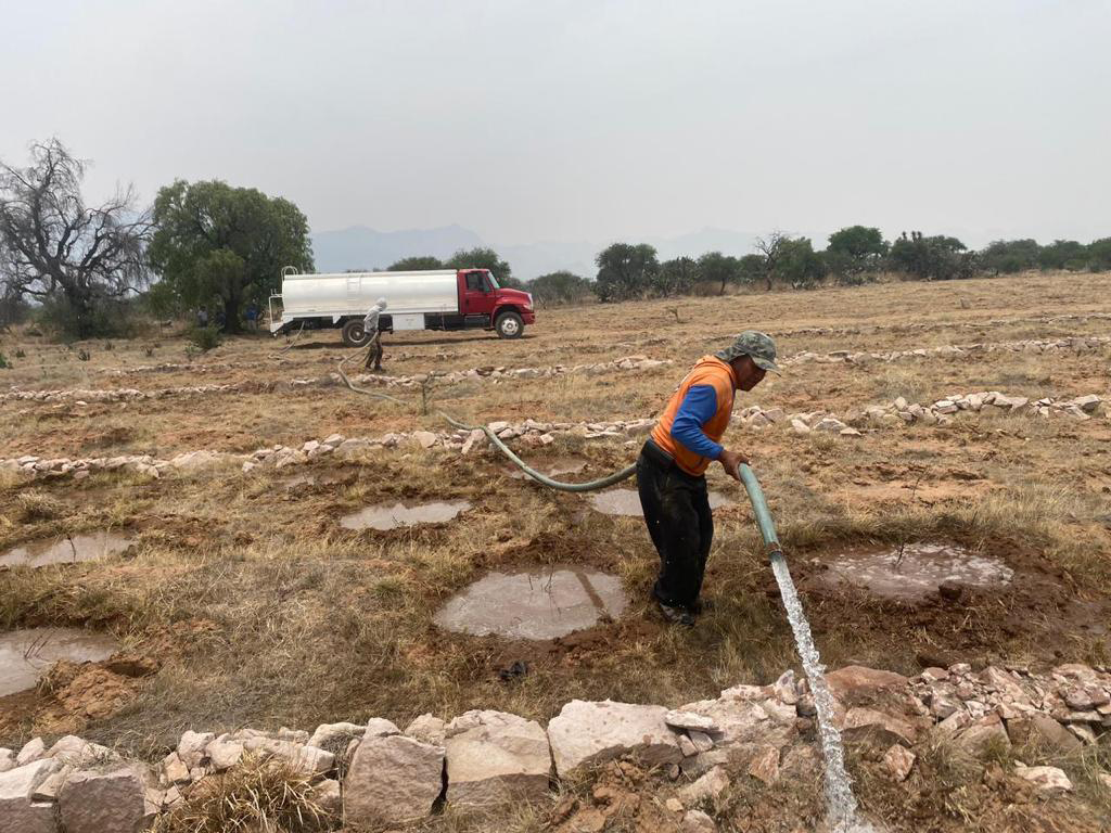 PRAMSEI - Proyectos: Programas de reforestación y reubicación