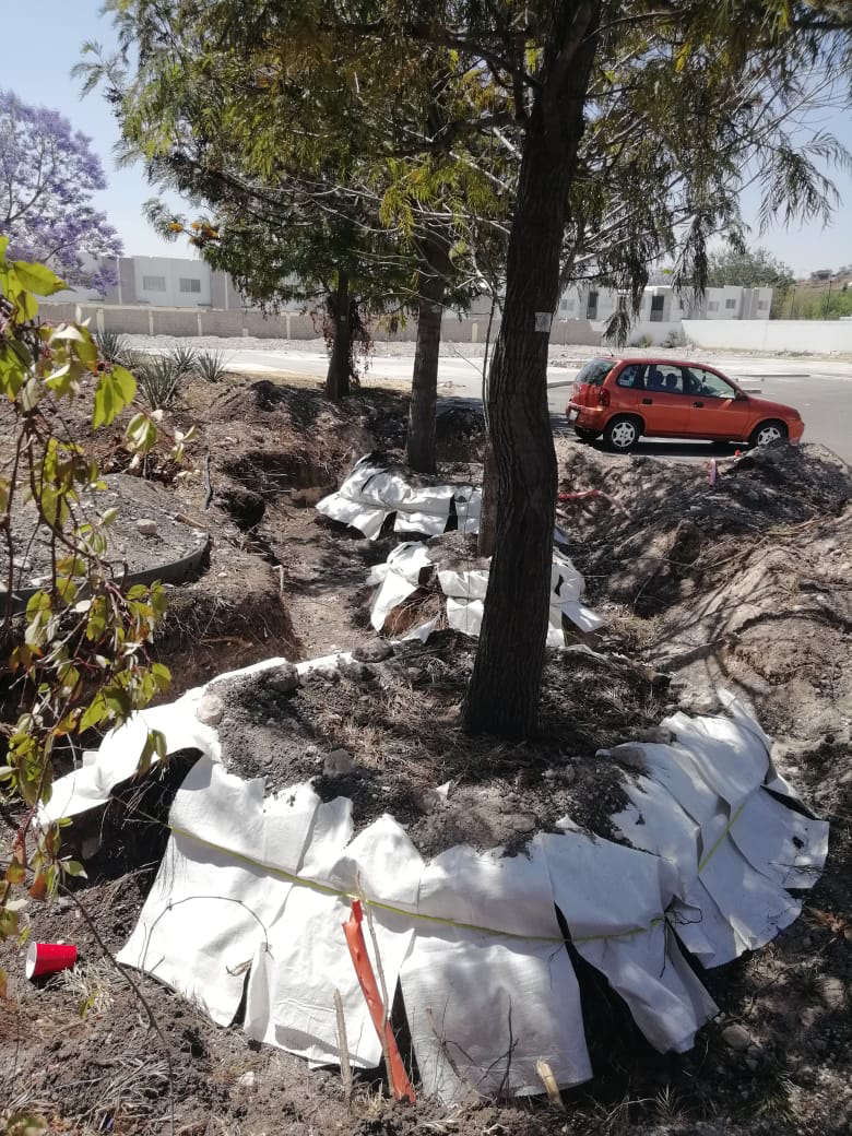 PRAMSEI - Proyectos: Programas de reforestación y reubicación