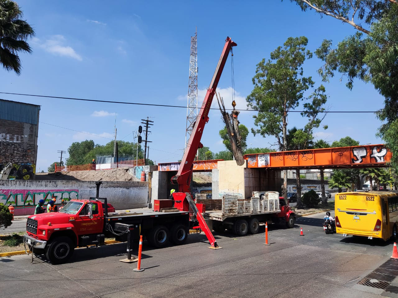 PRAMSEI - Proyectos: Programas de reforestación y reubicación